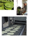 PRODUCTOS MEXICANOS DE NOPAL ORGANICO