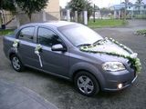 Alquiler de Elegante Auto para Bodas