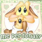 Diseñadora Grafica y Web 