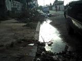 PRESTAÇÃO DE SERVIÇO( Rua do Cordeiro está cheia de lixo e com as bocas-de-lobo entupidas)
