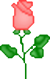 6646_thumb