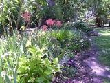 VIVERO LAS TACUARAS