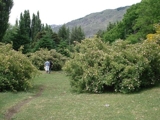 Polo & Fly Fishing Country Club - Patagonia - Bariloche - Esquel -Epuyen