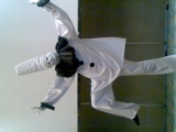 artes circences