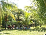 Vendo casa de campo -Tarapoto