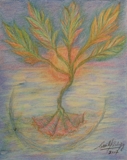 Taller de arteterapia y armonización con mandalas