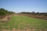 campos argentinos  agricolas-ganaderos