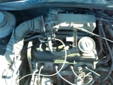 golf2