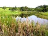 Fazenda em Botucatu 62 alqs