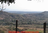 COSTA RICA OFFERS - Arizona - Miami