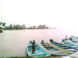 Vendo bonito terreno en San Jerónimo, Guerrero