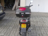 Scooter Peugeot Trekker