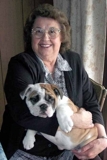 sweet and lonly bullpuppy for free adoption