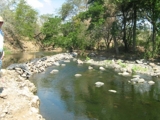 Hacienda Vieja \