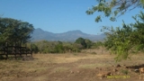 Hacienda Vieja \