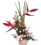 Floreria Los Alcatraces
