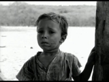 FILME: VIDAS SECAS