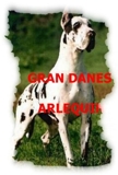 VENDO HERMOS CACHORROS GRAN DANES O DOGO ALEMAN - Pichincha - Quito