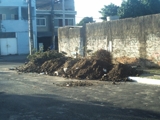 PRESTAÇÃO DE SERVIÇO( Rua Padre Grego está cheia de lixo)