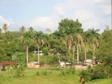 VENDO FINCA EN SUCHITEPEQUEZ.