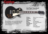 vendo guitarra epiphone les paul 100 - Tamaulipas - Tampico