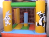 ALQUILER INFLABLES METEGOL SAPO PLAZA BLANDA POOL SCALEXTRIC ANIMACIONES SALSA TARANTELLA DISCJOCKEY