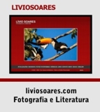 Nhardes.com - Novo site