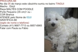 ajudem o igui ir para casa