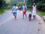 estou doando um cão Rottivailler