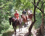 ACTIVIDADES Y TOURS ECONOMICOS EN PUERTO VALLARTA JALISCO MEXICO