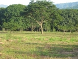 TERRENOS EN VENTA EN COATEPEC,XICO,TEOCELO,BRIONES,JALCOMULCO