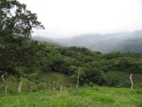 vendo finca Miramar