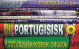 DICIONÁRIO DE PORTUGUÊS - NORUEGUÊS / NORUEGUÊS - PORTUGUÊS