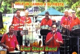STEELBANDS