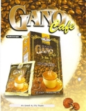 SALUD a tu alcance con el Ganoderma Lucidum o REISHI.