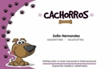 CACHORROS DE TODAS LAS RAZAS,100% SALUDABLES