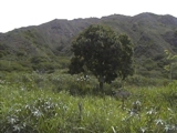 De oportunidad lotes baratos en Vilcabamba