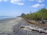 beach front  and islands for sales in Panama  - Panamá - Ciudad de Panamá