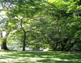 ID-97-TERRENO EN SAN FRANCISCO-´PANAMA - Panamá - Ciudad de Panamá