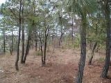 Vendo dos hermosos terrenos en Huehuetenango - Huehuetenango - Huehuetenango