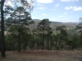 Vendo dos hermosos terrenos en Huehuetenango - Huehuetenango - Huehuetenango