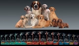 Venta de Alimento SUPER PREMIUN PROPLAN - Lima Metropolitana y Callao - Lima