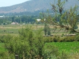 PARCELAS DE AGRADO MELIPILLA