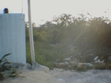 TERRENOS EN CONKAL, ALTA PLUSVALIA  - Yucatán - Mérida