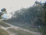 TERRENOS EN CONKAL, ALTA PLUSVALIA  - Yucatán - Mérida