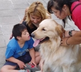 TERAPIA ASISTIDA CON PERROS. CURSOS DE CAPACITACION. ON LINE. SEMIPRESENCIAL. PRESENCIAL.