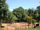 EBAN GROUP immobilien - Paraguay