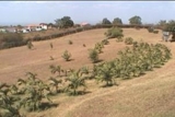 Propiedad ID2034 - Managua - Managua