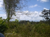 terreno en higuerote