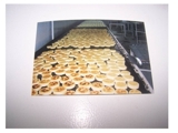 Vendo Fábrica de Tortillas en Panamá